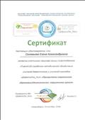 Сертификат участника семинара секции тифлопедагогов г.Новосибирска