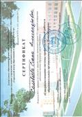 Сертификат участника форсайт-сессии